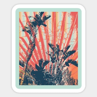 Paradise Palms Sticker